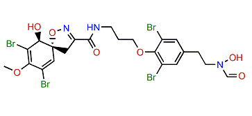 Araplysillin N20-hydroxyformamide